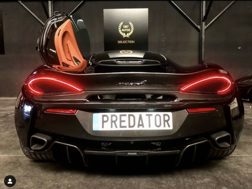 The Predator 